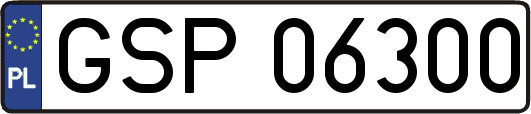 GSP06300