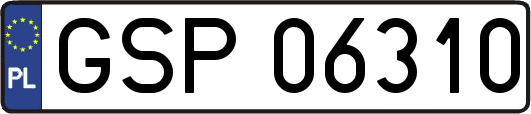 GSP06310