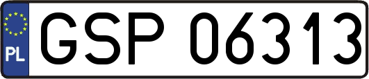 GSP06313