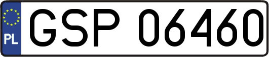 GSP06460