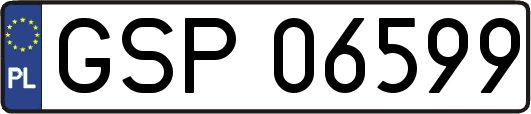 GSP06599