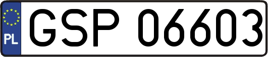 GSP06603
