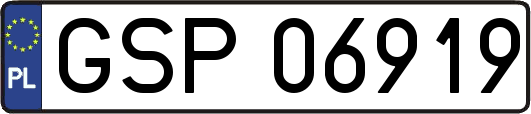 GSP06919