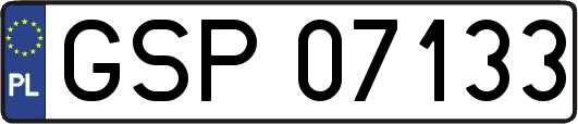 GSP07133
