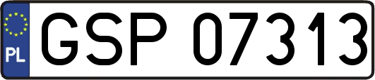 GSP07313
