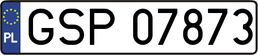 GSP07873