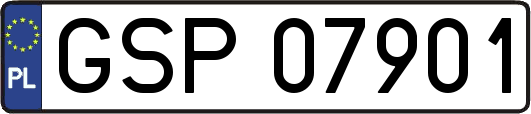 GSP07901