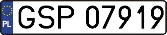 GSP07919