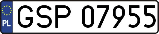 GSP07955