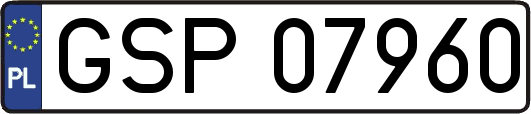 GSP07960