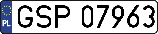 GSP07963