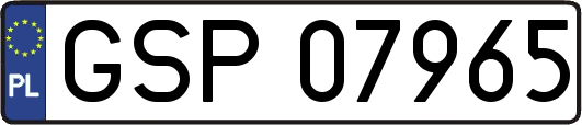 GSP07965