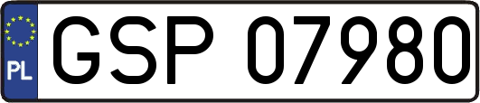 GSP07980