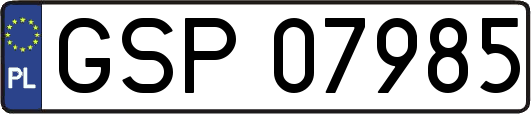 GSP07985