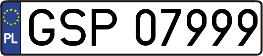 GSP07999