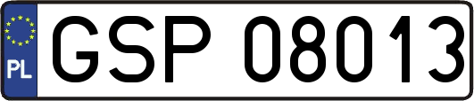 GSP08013