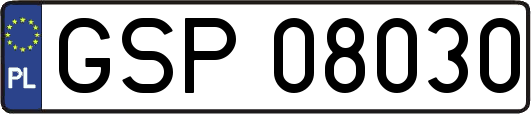 GSP08030