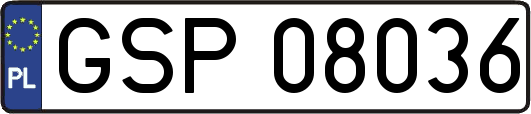 GSP08036