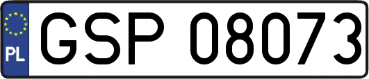 GSP08073