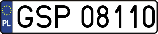 GSP08110