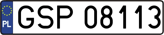 GSP08113