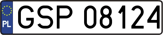 GSP08124
