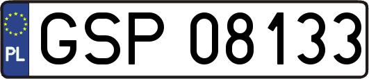 GSP08133