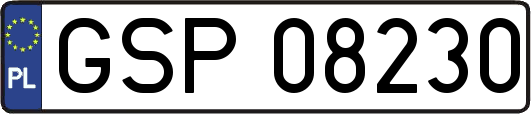 GSP08230