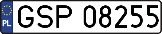 GSP08255