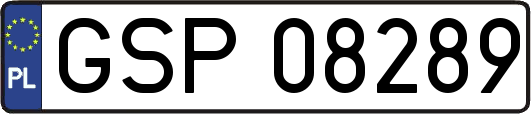 GSP08289