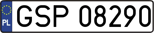GSP08290