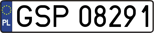 GSP08291