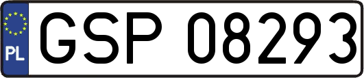 GSP08293