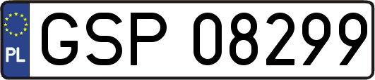 GSP08299