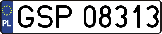 GSP08313
