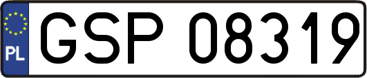 GSP08319
