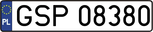 GSP08380