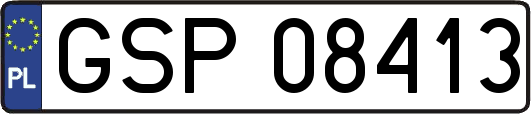 GSP08413