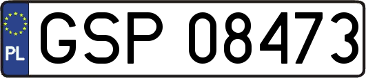 GSP08473