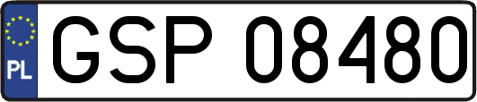 GSP08480