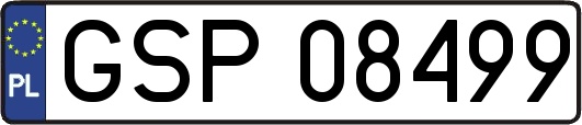 GSP08499