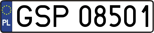 GSP08501