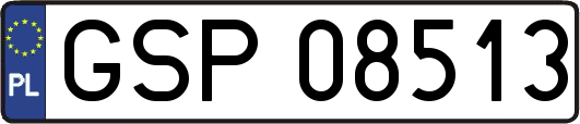 GSP08513