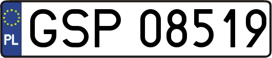 GSP08519