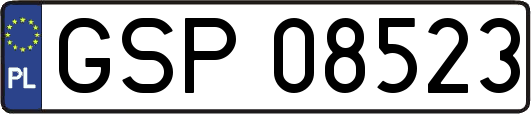 GSP08523