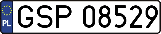 GSP08529