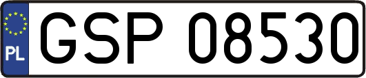 GSP08530