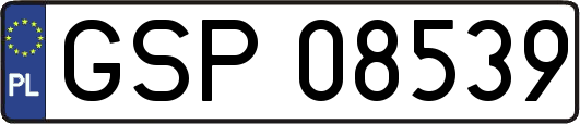 GSP08539