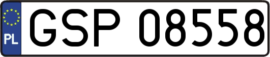 GSP08558