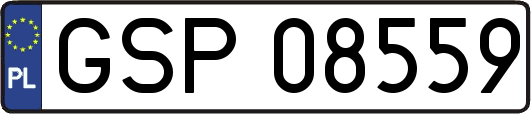GSP08559